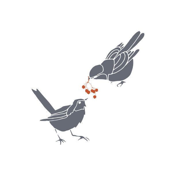 两只鸟图片下载