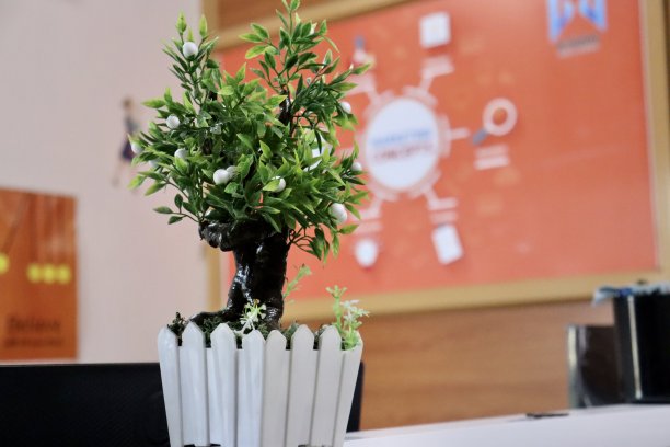 室内人工植物图片下载