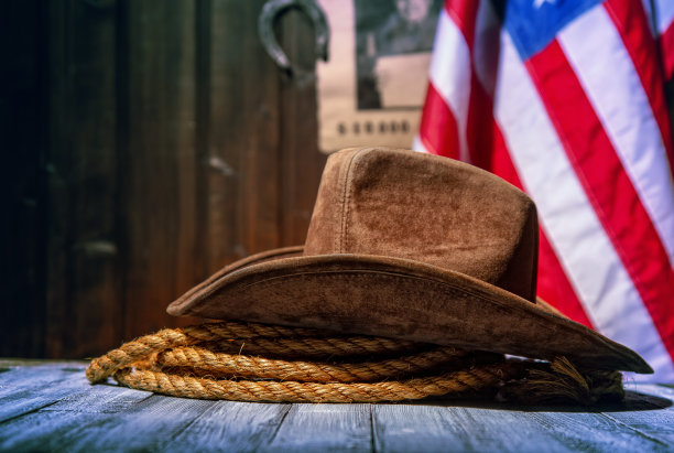 美国牛仔警长图片下载