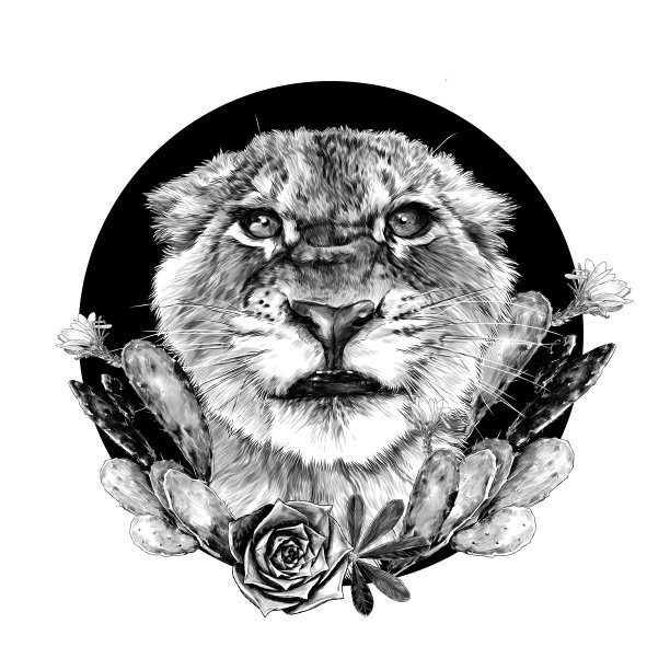 一只小老虎的嘴，在一个用开花的仙人掌装饰的圆形构图的背景上咧着嘴笑图片下载