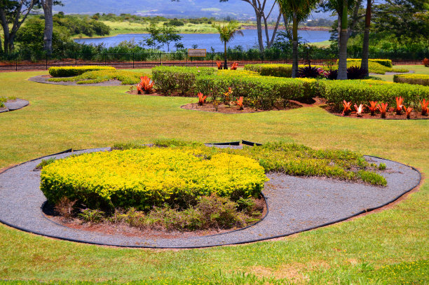 海边的热带花园图片下载