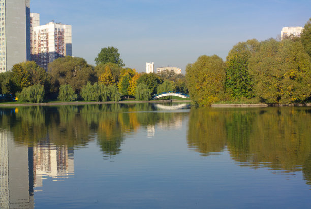 城市公园的夏天图片下载