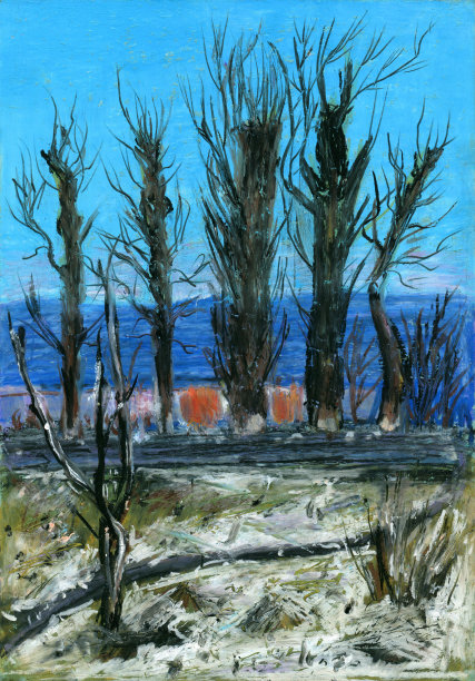 白天的风景与树木。图片下载