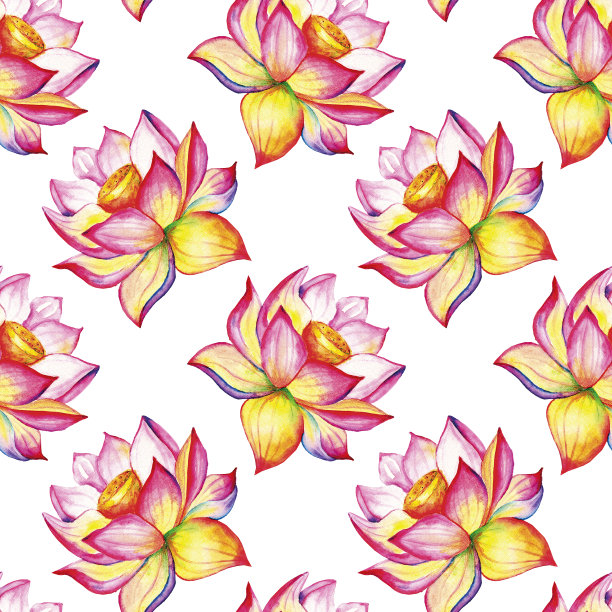 盛开的莲花。手绘装饰无缝图案。水彩插图孤立的白色背景。图片下载