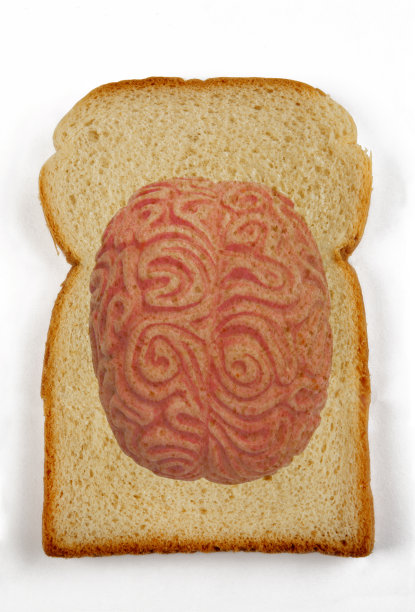 一片面包对大脑有益图片下载