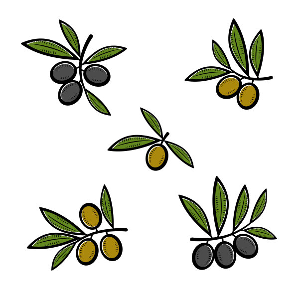 橄榄。收藏图标橄榄。向量图片下载
