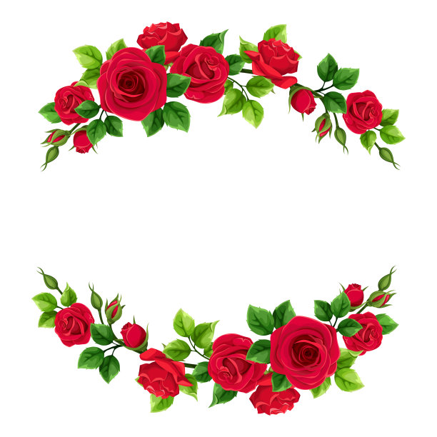 情人节的框架红玫瑰和绿叶。矢量插图。图片下载
