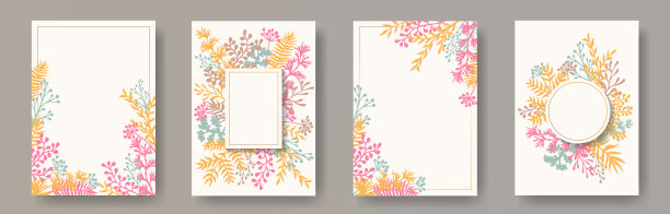 手绘草本小枝、树枝、树叶等花卉请帖收集。草本框架现代卡片设计蒲公英花，蕨类植物，槲寄生，橄榄树叶，美味的小树枝。图片下载