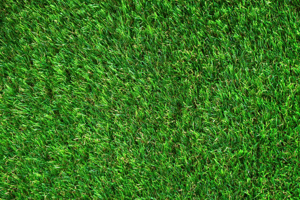 人造草背景纹理，俯视图图片下载