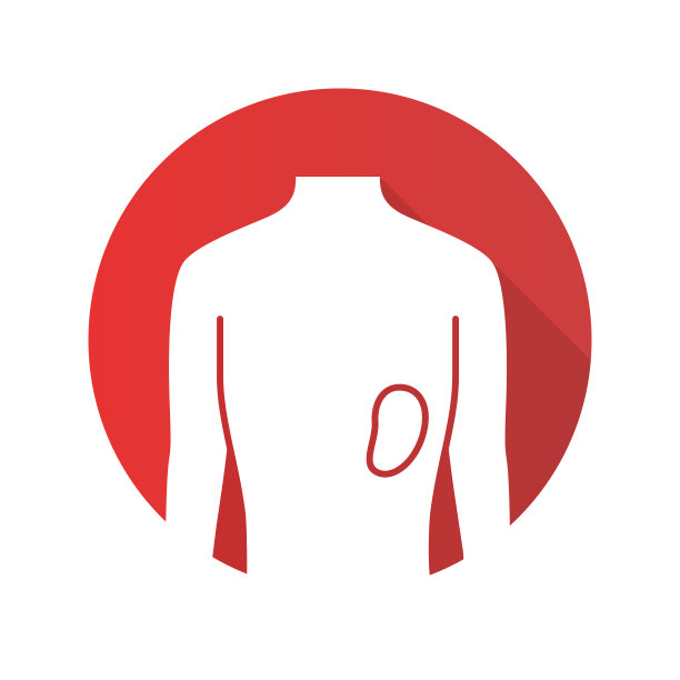 健康脾平设计长影字形图标。人体器官健康状况良好。淋巴系统的功能。身体内部部位完好。健康的免疫系统。向量轮廓图图片下载