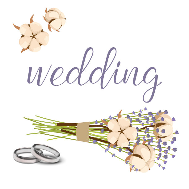 婚礼邀请元素，矢量插图。冬天卡德图片下载