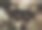 你不是真的在跟我们说话吧?图片下载