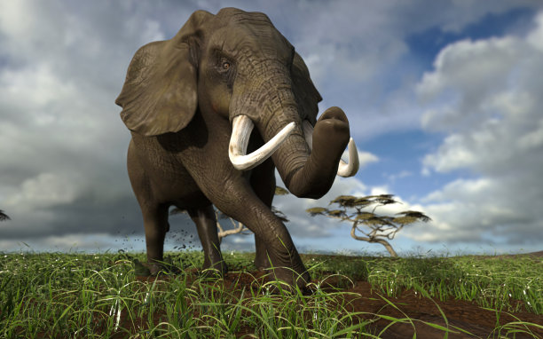 愤怒的大象在草地上接近3d渲染图片下载