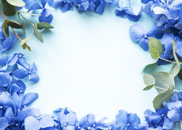 蓝色绣球花花图片下载