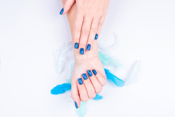 精致的女性手与完美的美甲蓝色在灰色的背景与装饰羽毛。自我保健的概念图片下载