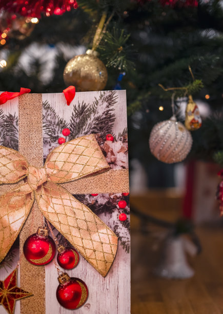 美丽的形象与圣诞礼品袋和圣诞树图片下载