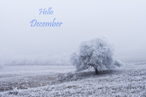 你好12月文字与冬季场景的背景。图片下载