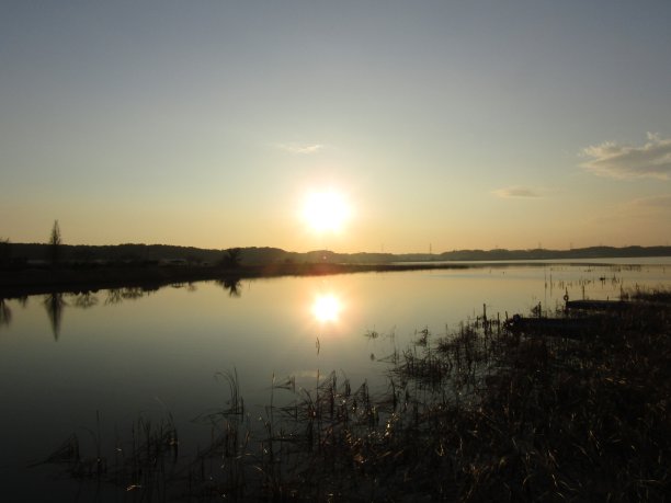 1月。日落时的Teganuma湖。Abiko、千叶、日本图片下载