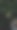 柠檬树图片下载