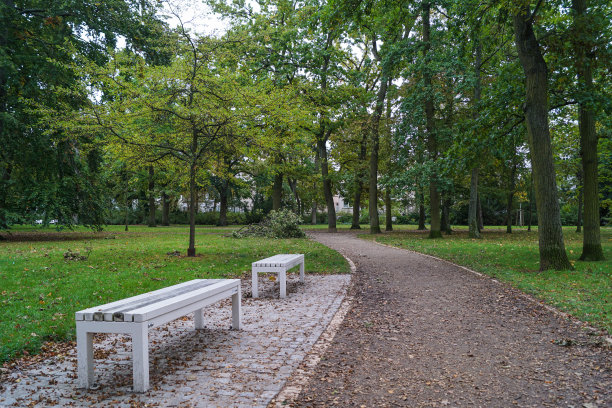 公园里的两张长椅图片下载