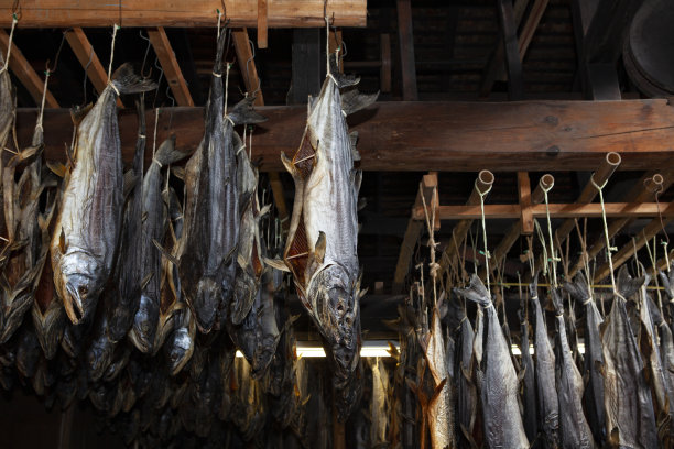 日本传统干鲑鱼图片下载