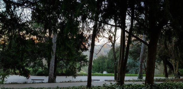 巴黎的公园图片下载