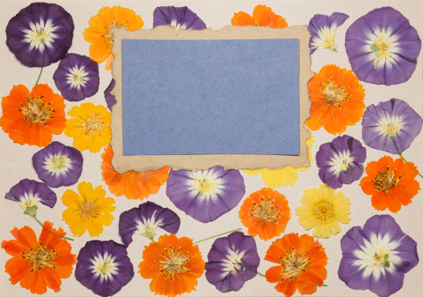 旧相册里的一页，米黄色。剪贴簿元素装饰有叶、花、花瓣宇宙、旋花。乡村风格的相册页在剪贴簿与相框的照片。图片下载