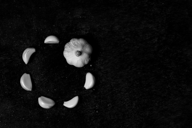 大蒜的花图片下载