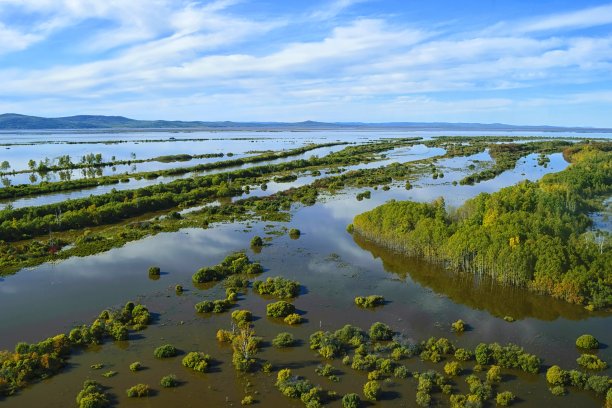 阿穆尔河发生特大洪水。鸟瞰图。图片下载