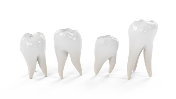 3d插图健康的牙齿孤立在白色的背景。的牙齿。刷牙的概念，护理和预防蛀牙。口腔护理，牙齿美白。图片下载