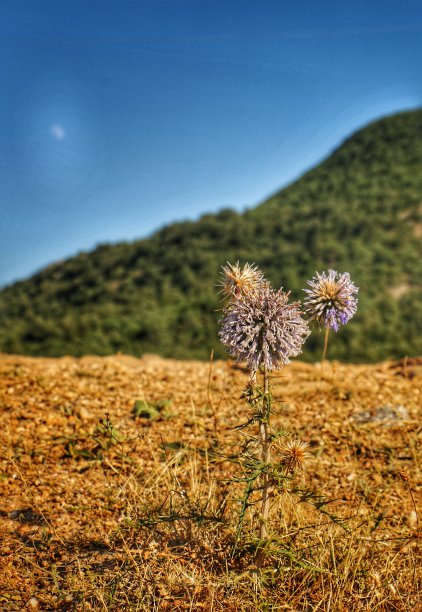 色彩的组合图片下载