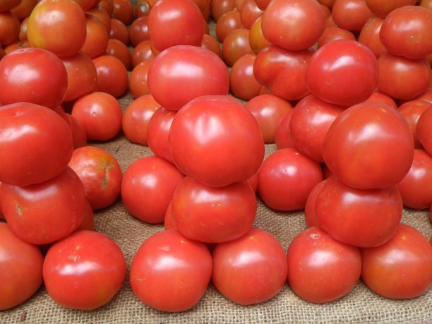 在马拉维的市场上平衡西红柿图片下载