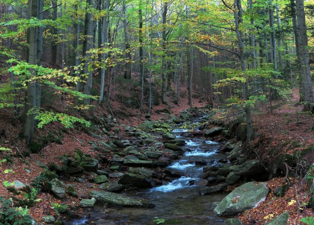 Rudoltický溪下峰Keprník在Jeseníky捷克共和国图片下载