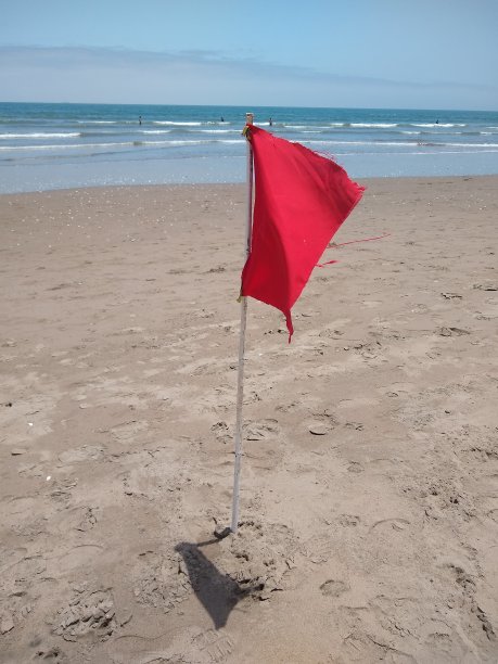 海滩上的红旗图片下载