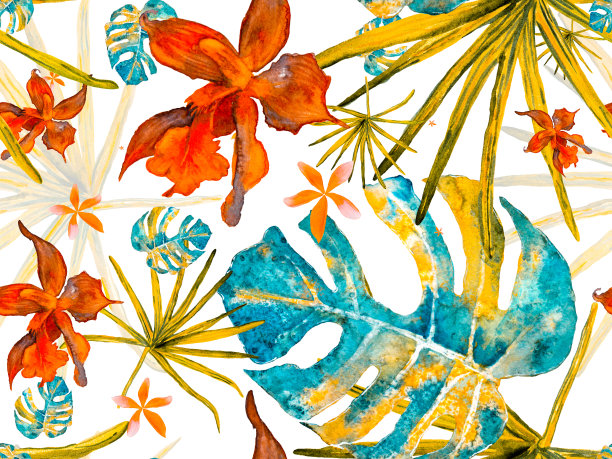 兰花无缝模式。图片下载