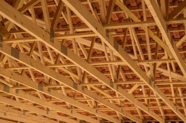 住宅建设住宅框架的观点，新住宅木质在建图片下载