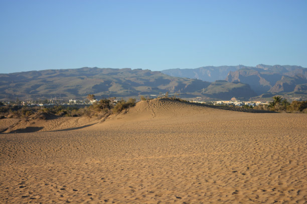 在大西洋的加那利群岛度过冬天图片下载