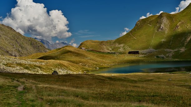 Muzelle的避难所图片下载