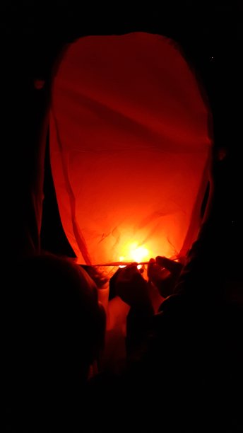 梦想和蓝皮恩在飞翔!图片下载