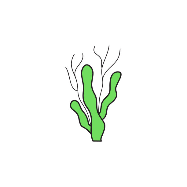 海藻向量图片下载