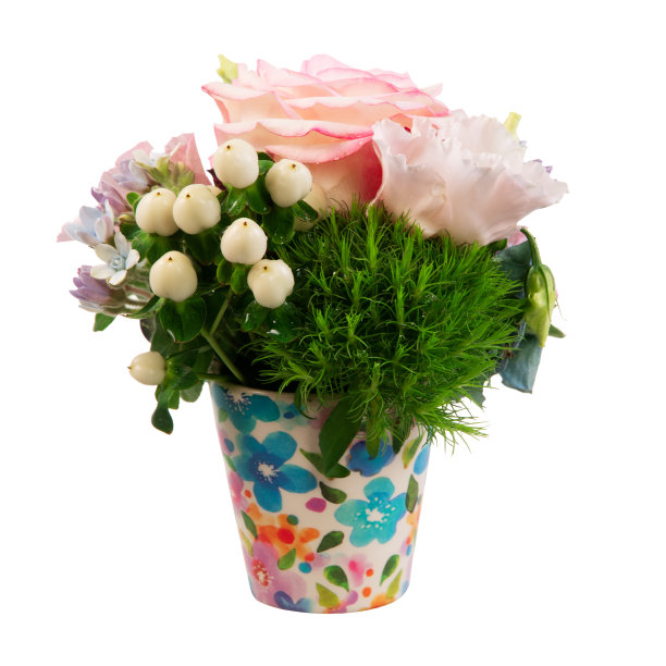 在白色上孤立的插花图片下载