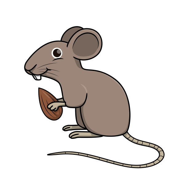 在白色背景上隔离的鼠标矢量插图。图片下载