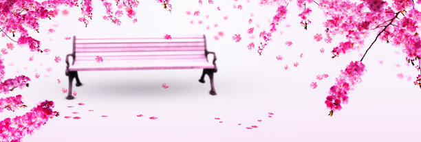 樱花树下模糊的花园长凳图片下载