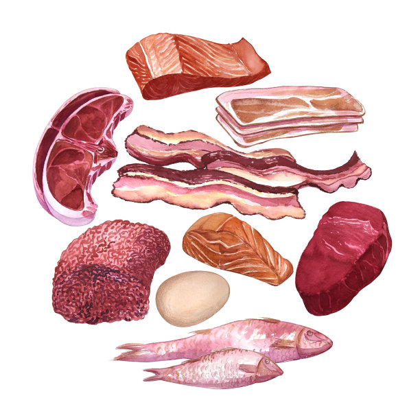 手绘水彩一套不同类型的肉，鱼，蛋。图片下载