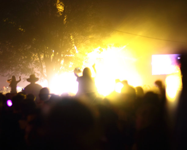 在音乐会上欢呼的人群图片下载