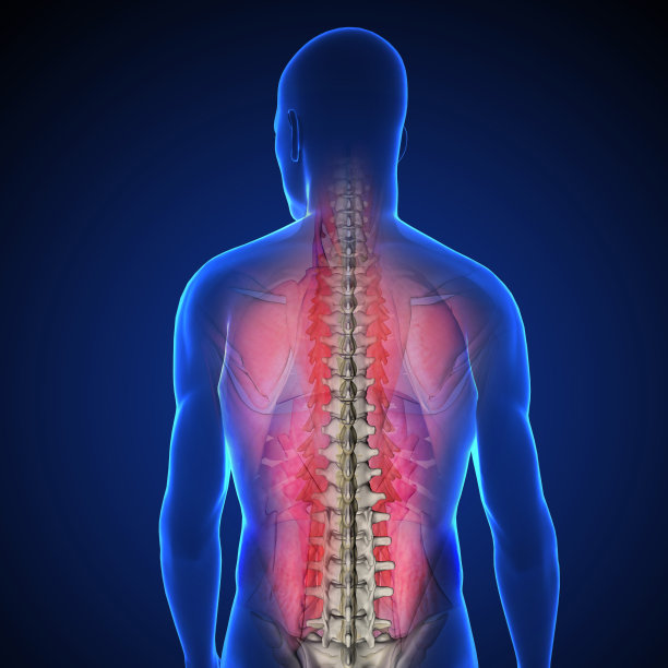 肌肉，腰痛图片下载