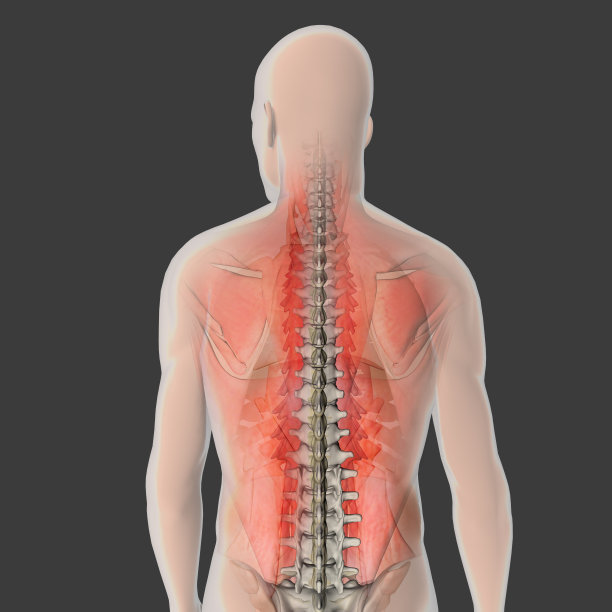 肌肉，腰痛图片下载