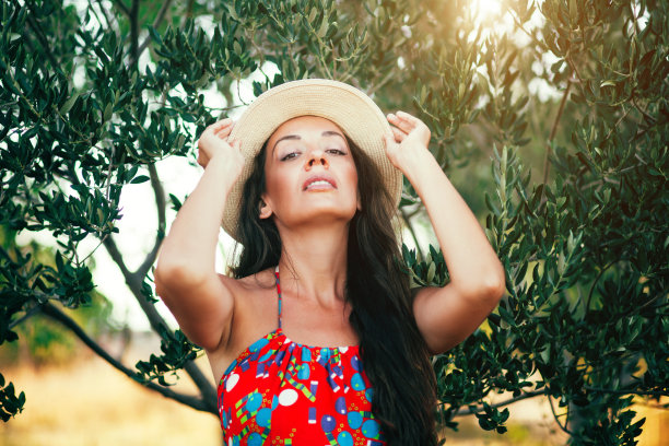 女人在橄榄园休息图片下载