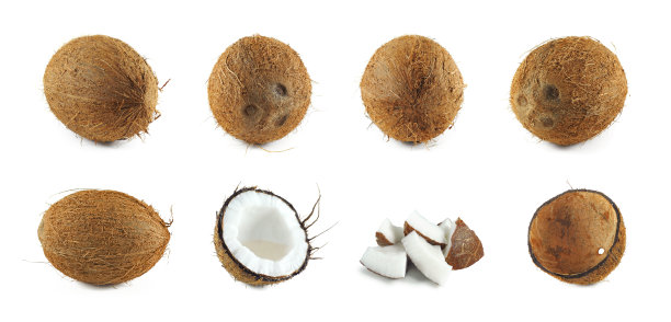 椰子孤立集图片下载