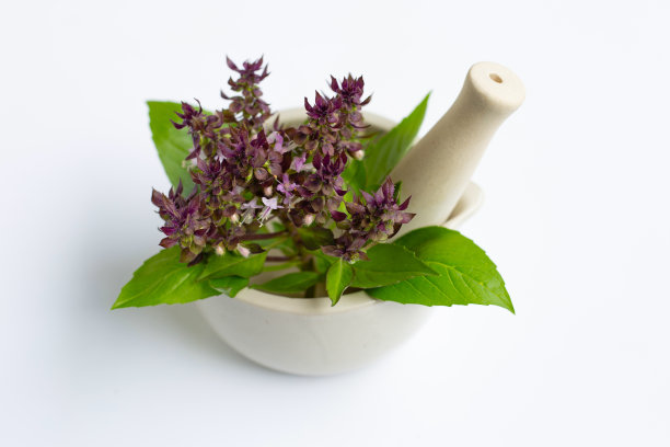 甜紫苏与紫花瓷臼上白色图片下载